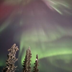 Meet your Posher, Kimberlee